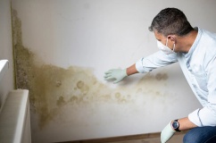 Thói quen nhỏ giúp ngăn ngừa nấm mốc trong nhà vào mùa Đông 