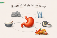 5 yếu tố có thể gây hại dạ dày theo chuyên gia Đông y