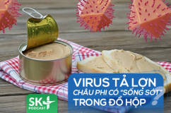 Podcast: Virus tả lợn châu Phi có “sống sót” trong đồ hộp?