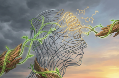 Căng thẳng thần kinh âm thầm bào mòn sức khỏe tinh thần