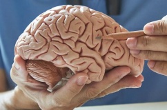 Ca mắc sa sút trí tuệ trẻ nhất nước Anh hiến não cho y học