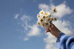 Tử vi thứ Ba (20/1/2026): Bảo Bình sẽ có một ngày khá mơ mộng