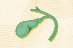 Có sỏi mật 15mm, hay bị đau hạ sườn phải nên xử trí thế nào?