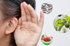 Một số thảo dược có ích với thính lực