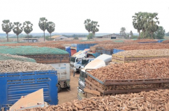 VCCI: Hội thảo “Tháo gỡ vướng mắc trong triển khai Luật An toàn thực phẩm”