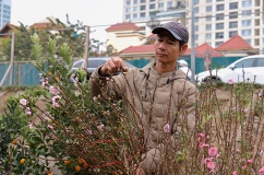 Infographic: Người dân cần chuẩn bị gì để di chuyển an toàn dịp Tết?