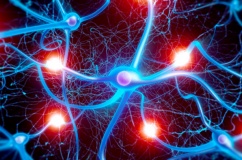 Run do mất cân bằng dẫn truyền thần kinh: Hiểu đúng để xử lý