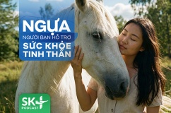 Podcast: Ngựa – người bạn hỗ trợ sức khỏe tinh thần