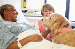 “Bạn đồng hành” đặc biệt của những người bệnh tâm thần