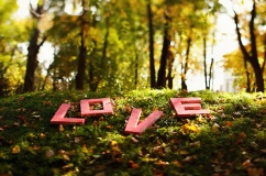 Tử vi thứ Bảy (14/2/2026): Song Ngư sẽ gặp được nhiều thuận lợi 