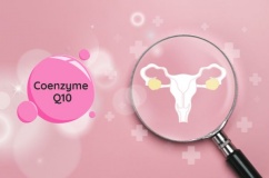 Lý do các cặp đôi hiếm muộn nên bổ sung Coenzyme Q10 