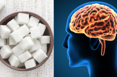 Não bộ thay đổi ra sao sau 1 tháng không ăn đường bổ sung?