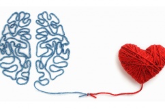 Tim yếu trí nhớ cũng giảm: Sự thật ít được nói đến