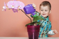 Khi con quá nhạy cảm: 4 dấu hiệu cha mẹ cần để ý