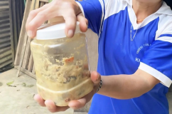 Thêm 2 ca ngộ độc cá ủ chua ở Đà Nẵng, Bộ Y tế chỉ đạo khẩn