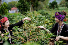 Du lịch Quảng Trị ngoài những điểm đến quen thuộc! (P2)