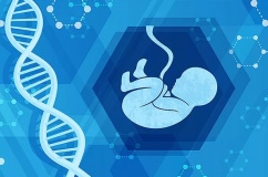 Khi y học bào thai viết tiếp sự sống