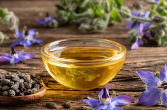 Cây lưu ly: Chứa thành phần hỗ trợ cải thiện da khô