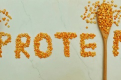 Liệu protein có liên quan đến sỏi thận?