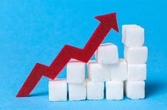 Ăn quá nhiều đường có thể ảnh hưởng gì tới túi mật?