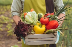 Thực phẩm hữu cơ không đồng nghĩa với an toàn thực phẩm tuyệt đối