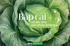 Bắp cải có tốt cho sức khỏe không?