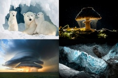 Những bức ảnh ấn tượng nhất Giải thưởng Nhiếp ảnh Sony năm 2026