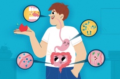 Vì sao hệ tiêu hóa 'chào thua' trước hạt ngô, nấm kim châm?