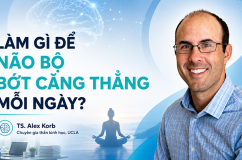 Làm gì để não bộ bớt căng thẳng mỗi ngày?