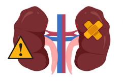 Suy thận độ 1 biểu hiện như thế nào?