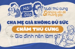 Cha mẹ già không đủ sức chăm thú cưng, gia đình nên làm gì?