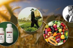 Thuốc trừ sâu có thể gây ra những ảnh hưởng gì tới sức khỏe?