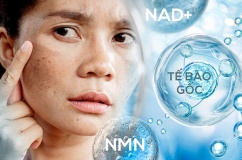 Nguy cơ từ làm đẹp bằng NMN, NAD+ và tế bào gốc