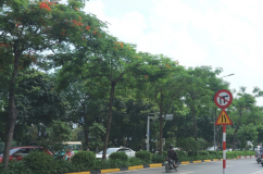 Vừa qua Lập Thu, nền nhiệt miền Bắc đã tăng nhẹ