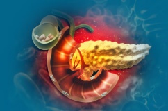 Sau ERCP lấy sỏi mật 1 tuần, dùng TPBVSK Kim Đởm Khang được không?