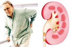 Suy thận mạn ở người cao tuổi: Làm sao để giữ thận khỏe lâu hơn?