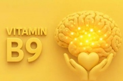 Mệt mỏi, hay quên có phải thiếu hụt vitamin B9?
