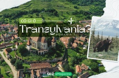 Có gì ở Transylvania?