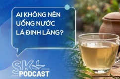 Podcast: Ai không nên uống nước lá đinh lăng?