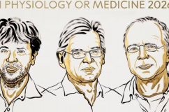 Nobel Y sinh 2026: Vinh danh 3 nhà khoa học dùng ánh sáng 'giải mã' não bộ