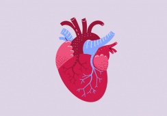 Tăng huyết áp và hở van tim nên điều trị thế nào?