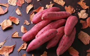 Một củ khoai, đa công dụng