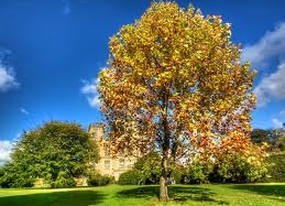 Phương pháp mới cai nghiện thuốc lá