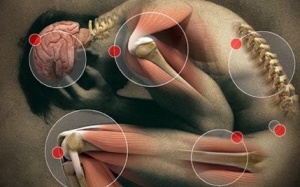 Cơn đau báo bệnh - chớ xem thường! 