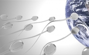 Quan hệ để... bảo vệ môi trường?