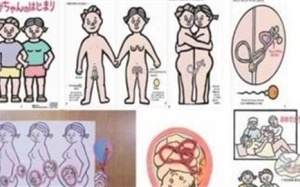 Cách giáo dục giới tính của Nhật, Mỹ