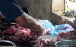 Xác minh thông tin “biến lợn sề hết đát thành thịt bò”