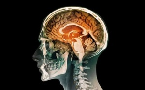 Con người có thể sống nếu thiếu nửa bộ não?