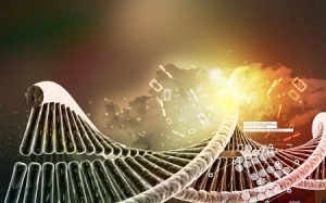 Vì đâu trẻ tự kỷ?