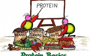 3 loại thực phẩm cung cấp lượng protein không ngờ